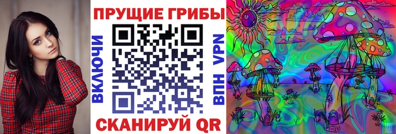 Псилоцибиновые грибы прущие грибы  Купить закладки  Урус-Мартан 
